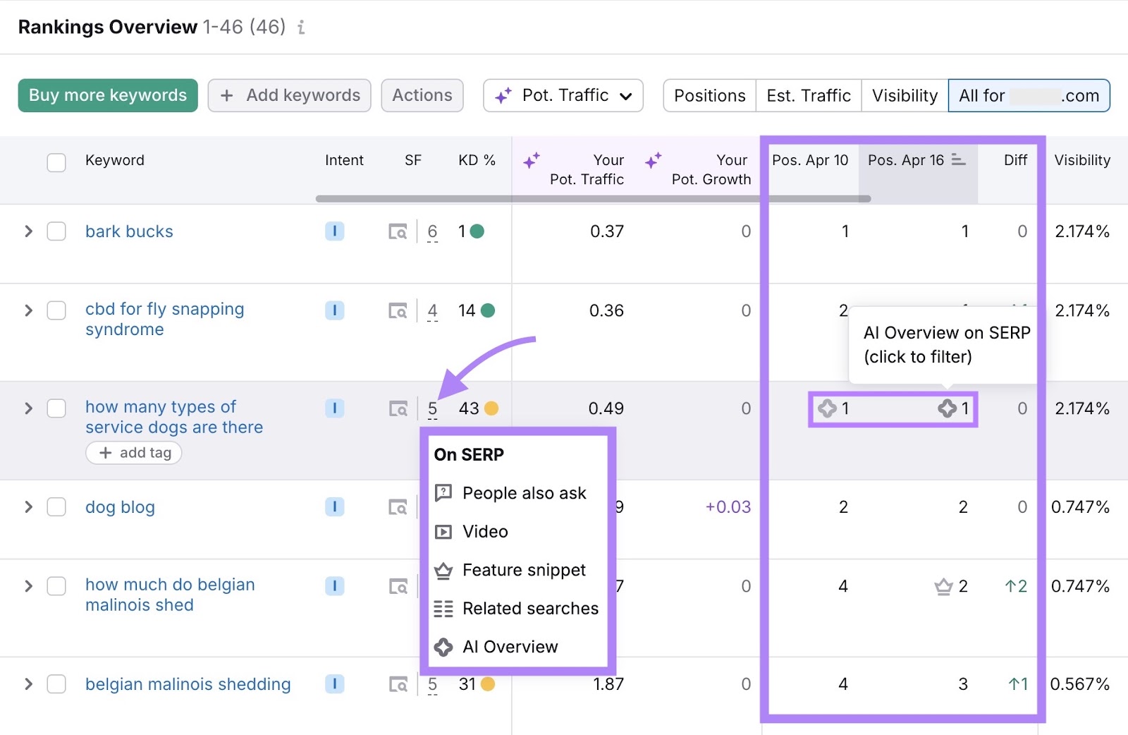 Rankings Overview on the Position Tracking tool showing SERP features which appear for a keyword and whether the site is featured in them.