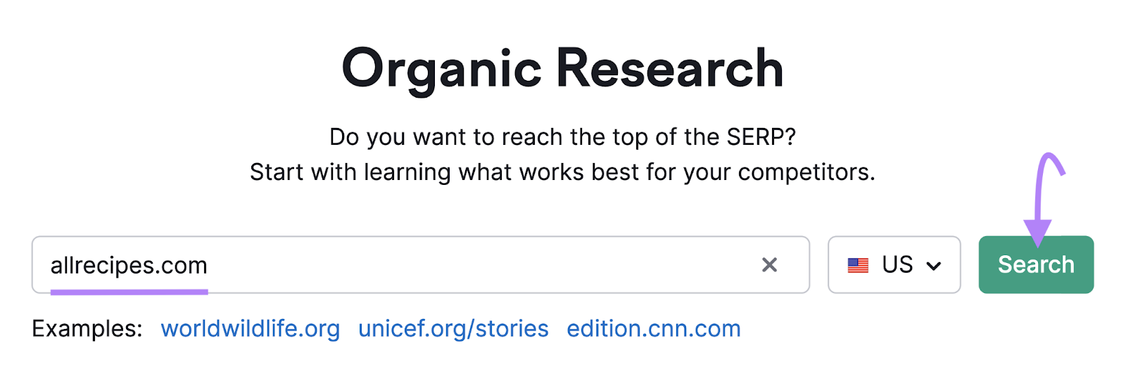 "allrecipes.com" entered into the Organic Rankings search bar