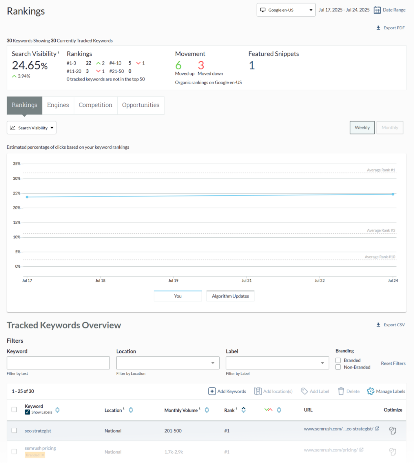 Keyword rankings report shows search visibility, rankings overview, and tracked keyword positions.